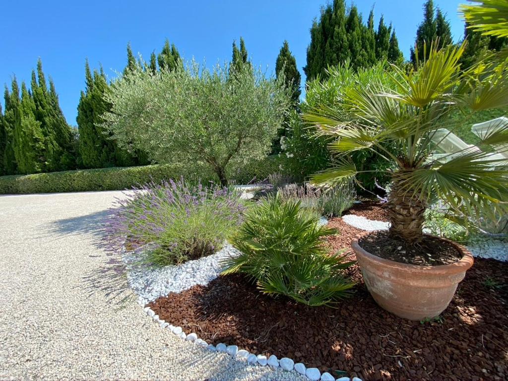 Mas de l'Estello B&B "L'Esterelle" - 5