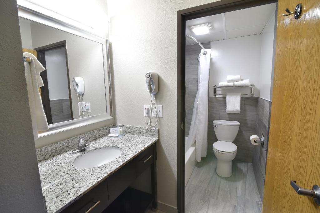 Best Western Plus Flint Airport Inn & Suites Photo 25