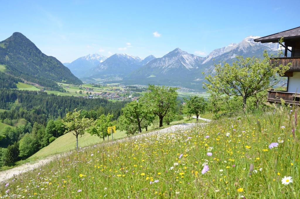 Hotel & Alpengasthof Pinzgerhof - 5