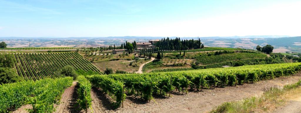 Colle al Matrichese - Historic Winery - 4
