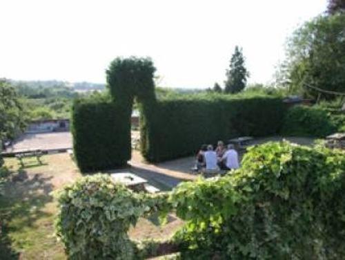 The Dog Inn, Halstead photo 6