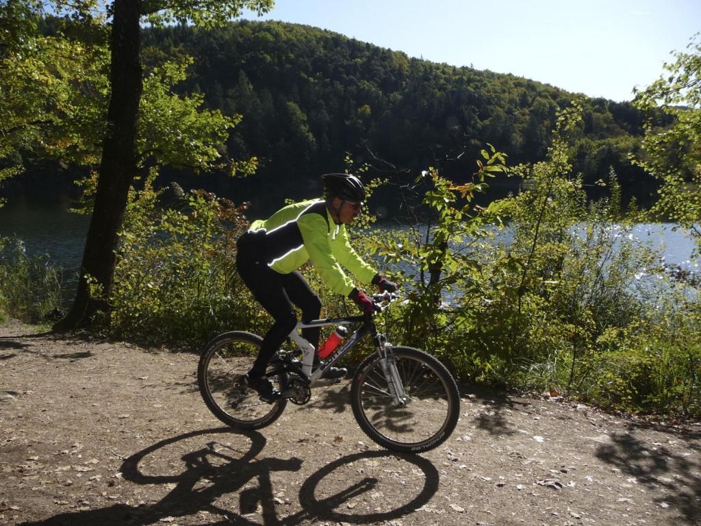 アクティビティ