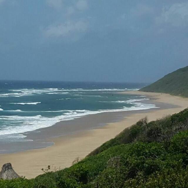 WHITE SHARK RESORT photo