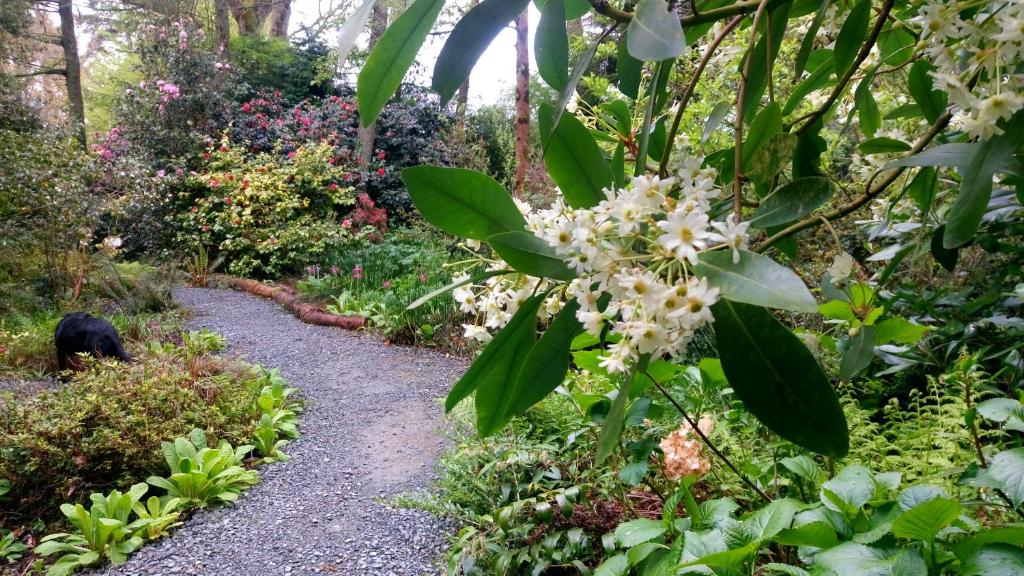 Kilmokea Country Manor & Gardens                                                                 photo
