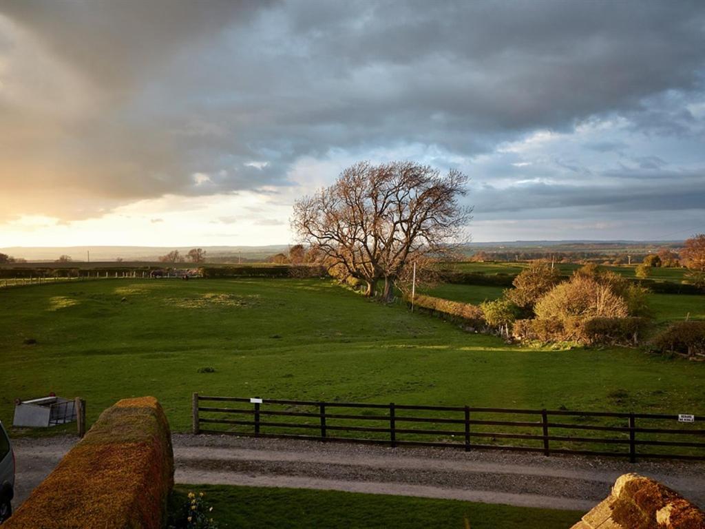 Lily Hill Farm photo