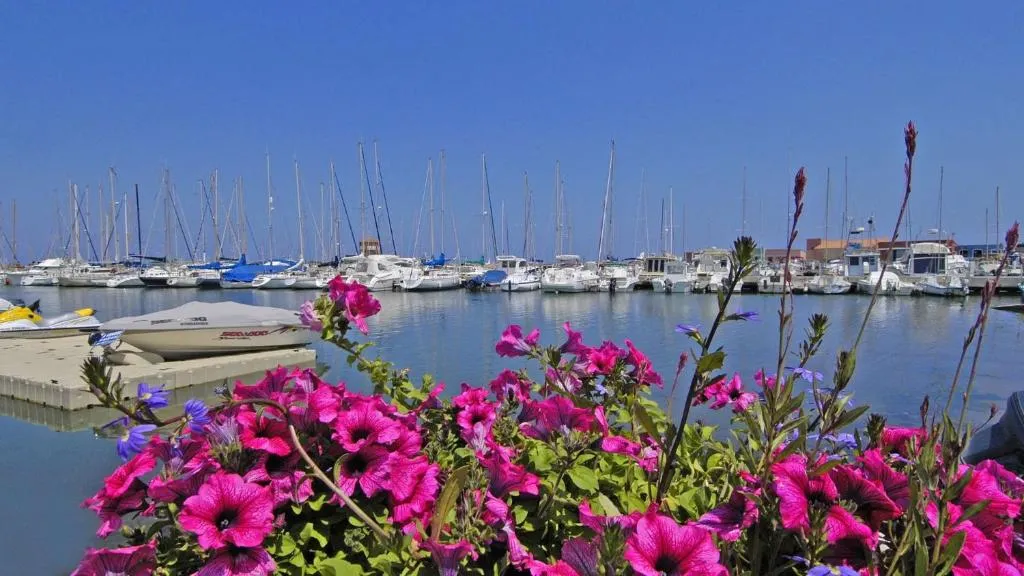 Hotel De La Mer, hotel in Le Barcarès