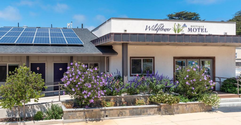 Wildflower Boutique Motel — Hotel in Point Arena (CA)