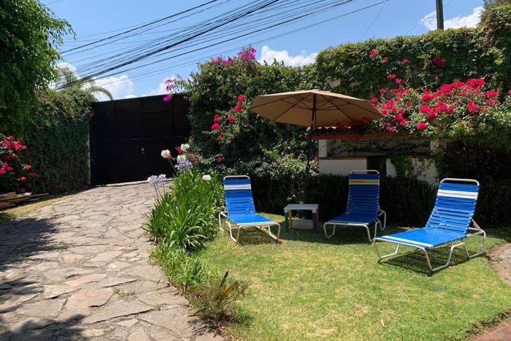 Casa BamBú VdB - 5