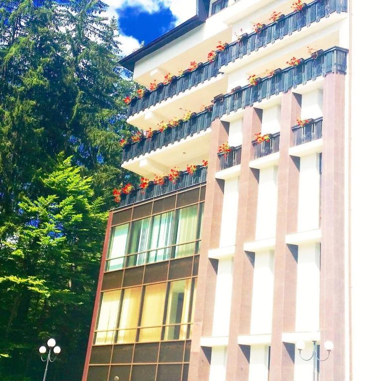 Hotel Hart — Hotel in Predeal