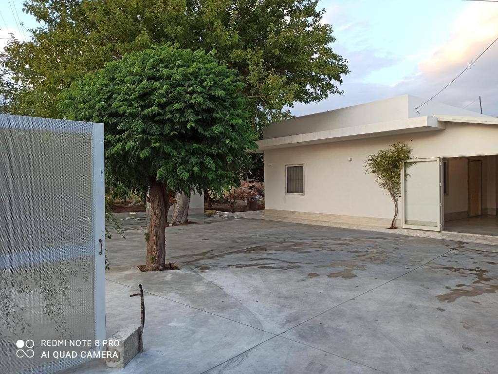 Casa degli Spartani Pina - 5