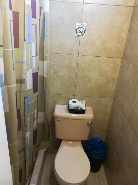 Wallace Holiday Apartments photo