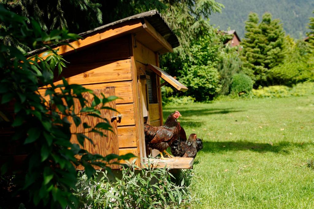 Hotel Beausite — Attractions in the area in Unterseen, Bern