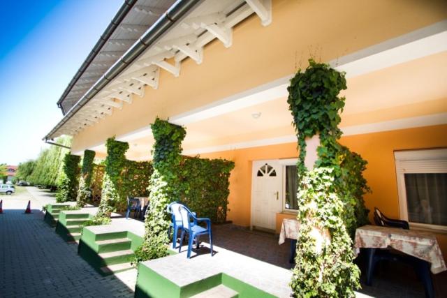 Piknik Wellness Hotel photo