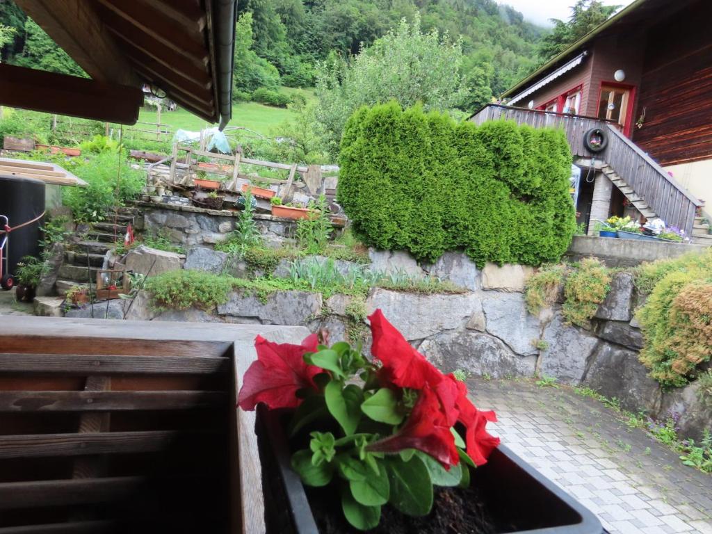 Holzhaus bei Interlaken photo