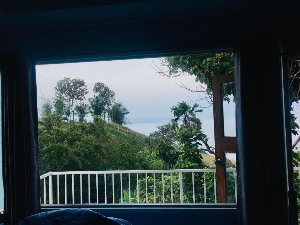 Home OK Taleymok photo