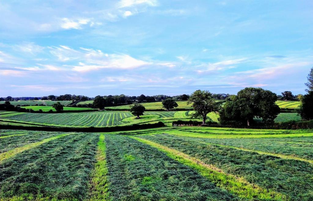 Cheshire View, Ellesmere photo 7