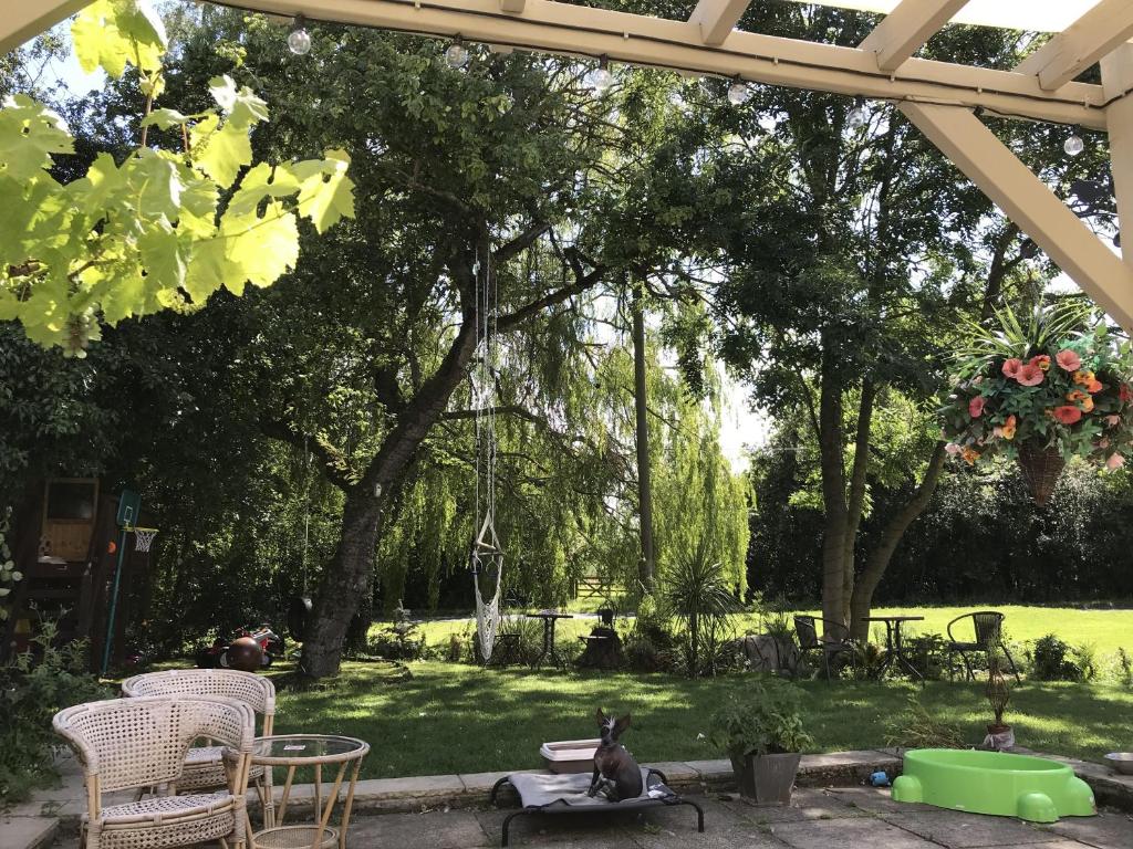 オールド サッチ バンバーズ グリーン (Old Thatch Bambers Green) 外観