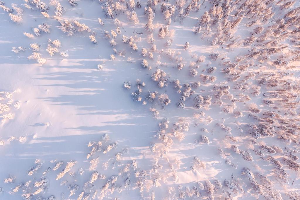 Surrounding environment