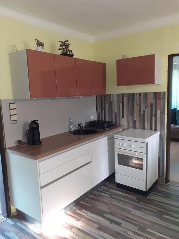 Apartment Vanka photo
