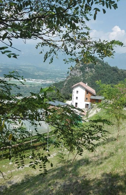 Agriturismo Saettà