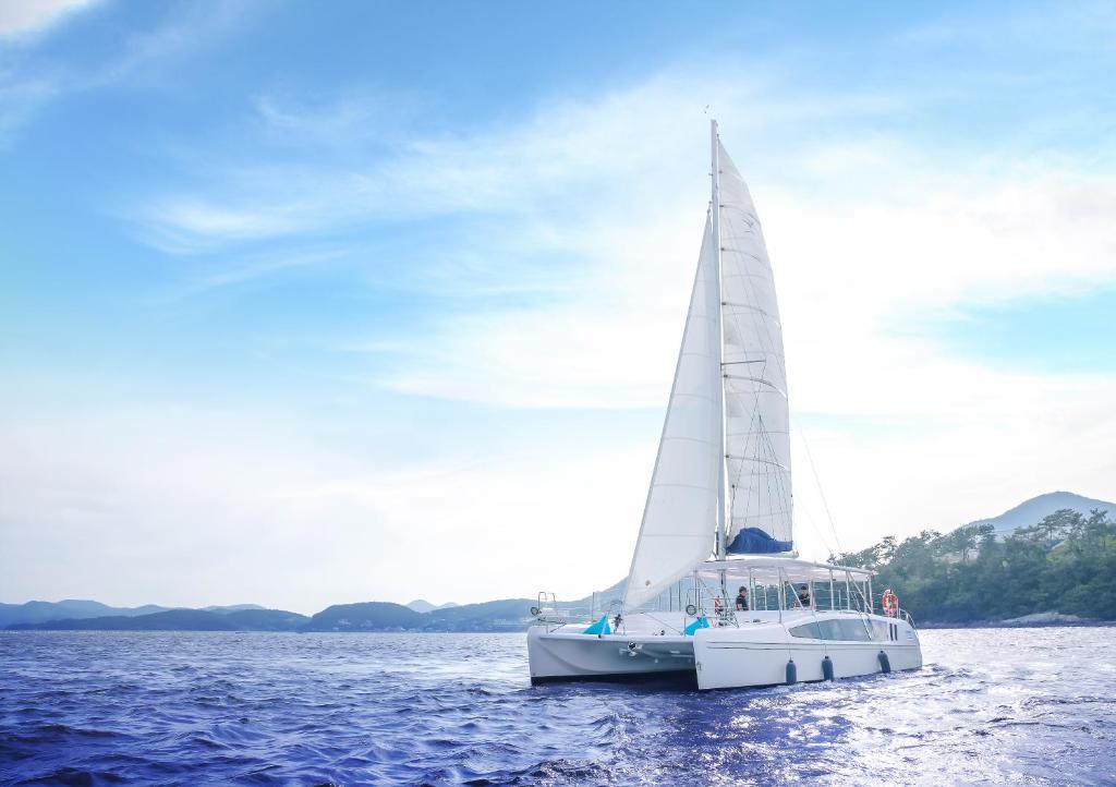 Thể thao và hoạt động