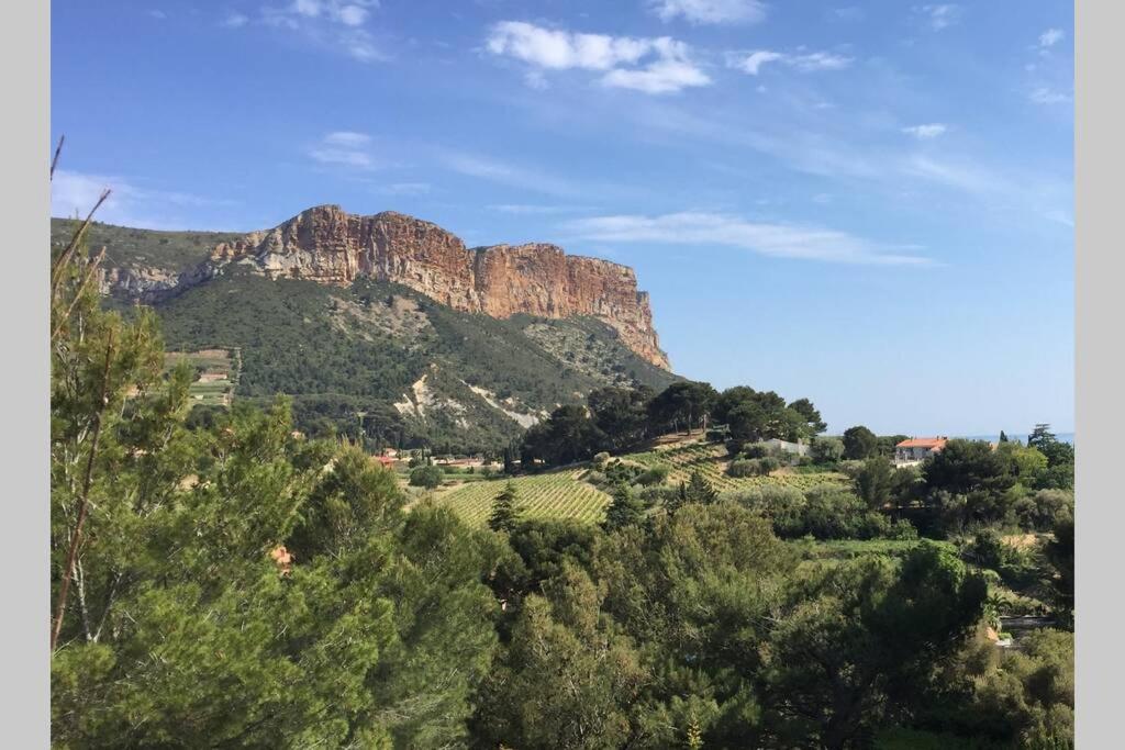 vue cap canaille et proche centre, Cassis
