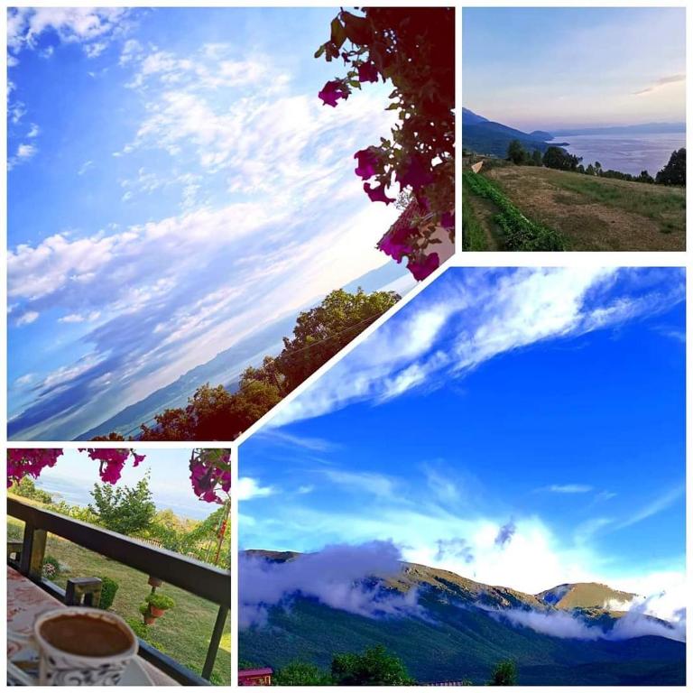 Shoposki Guest House photo