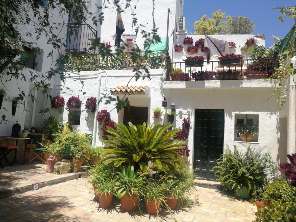 Alojamiento con encanto - 5