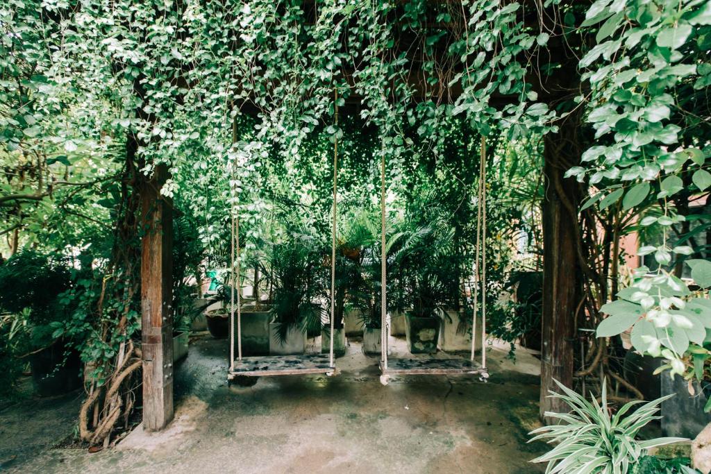 ที่เที่ยวใกล้ที่พัก