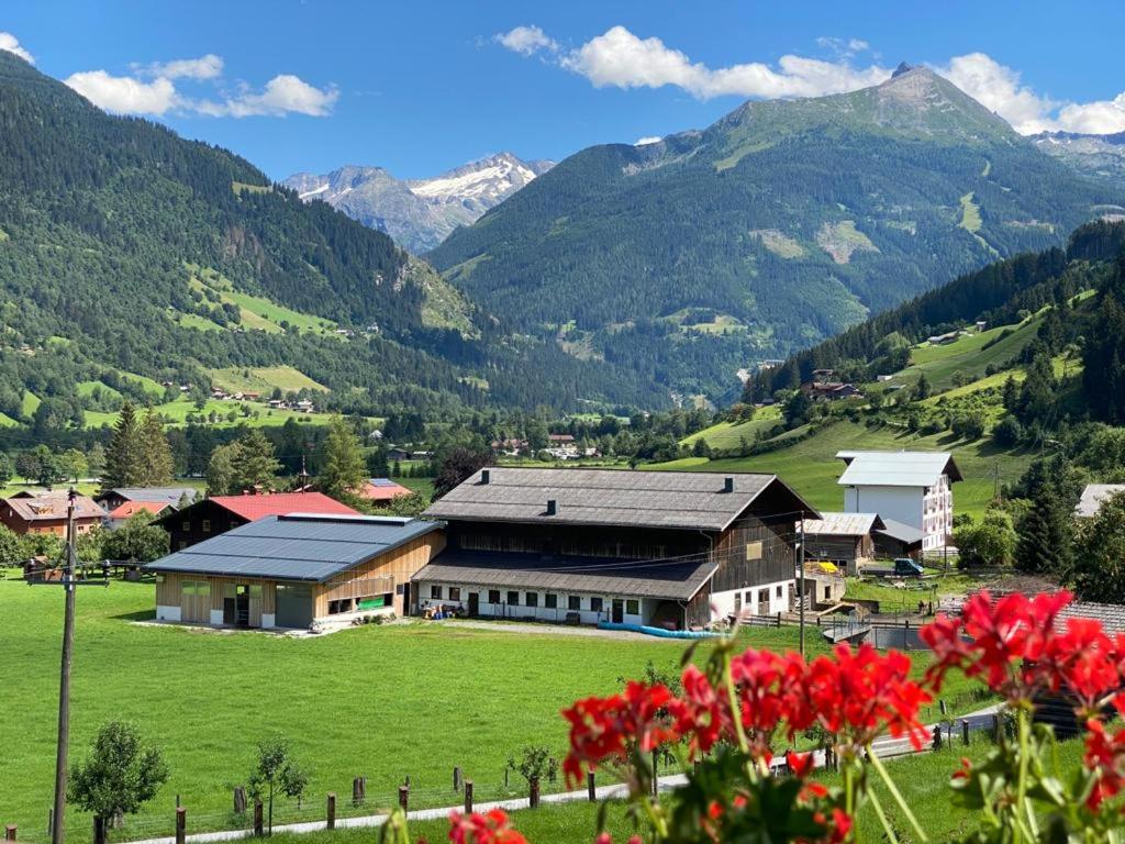 ZITTRAUERHOF - Urlaub am Bauernhof Gastein - 3