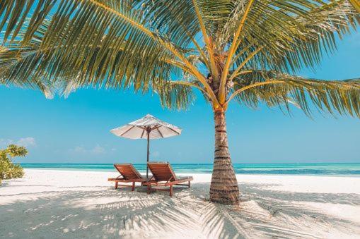 Gorgeous Beachy Chic Condo in Key Biscayne 전경