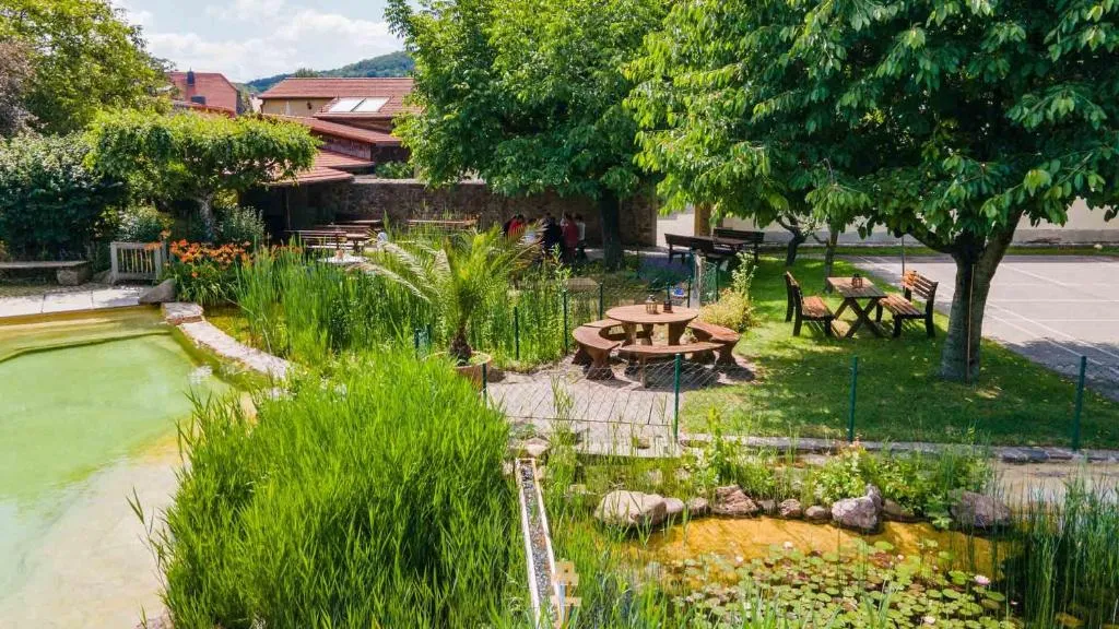 Landhotel Gut Wildberg mit Badeteich, Hotel in Meißen