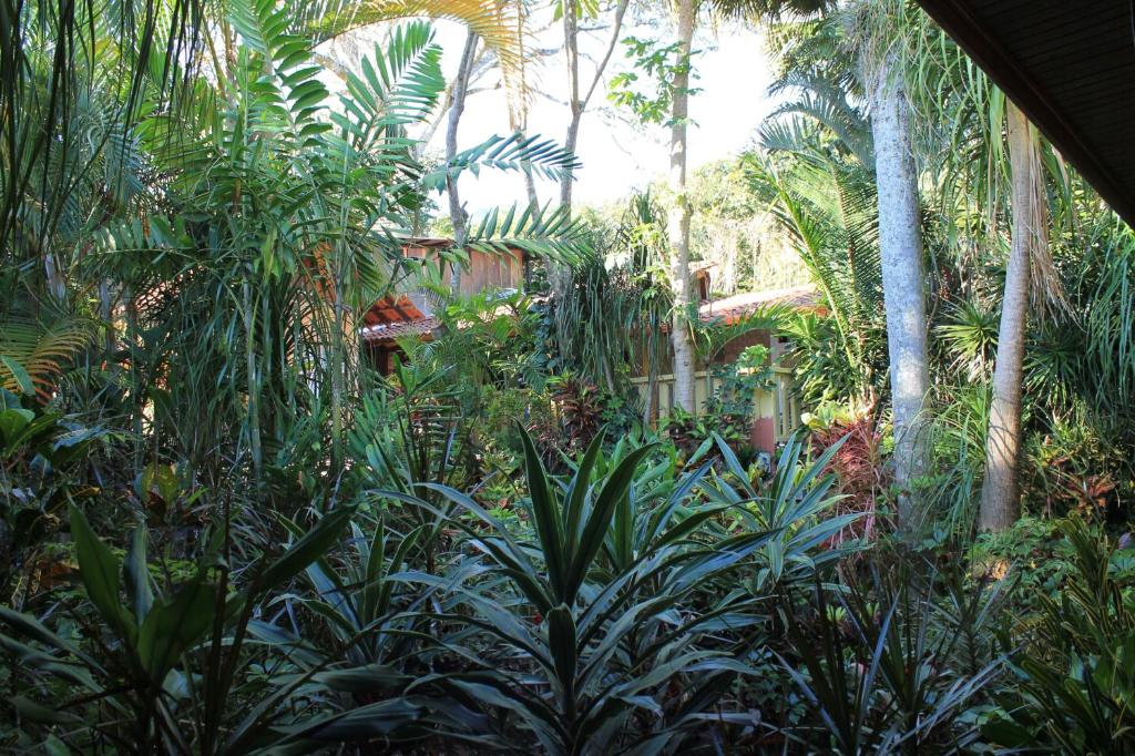 Surrounding environment