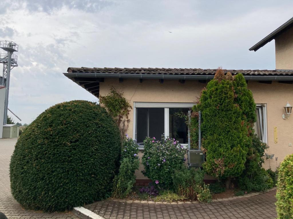 Ferienwohnung Rheinhessenhof