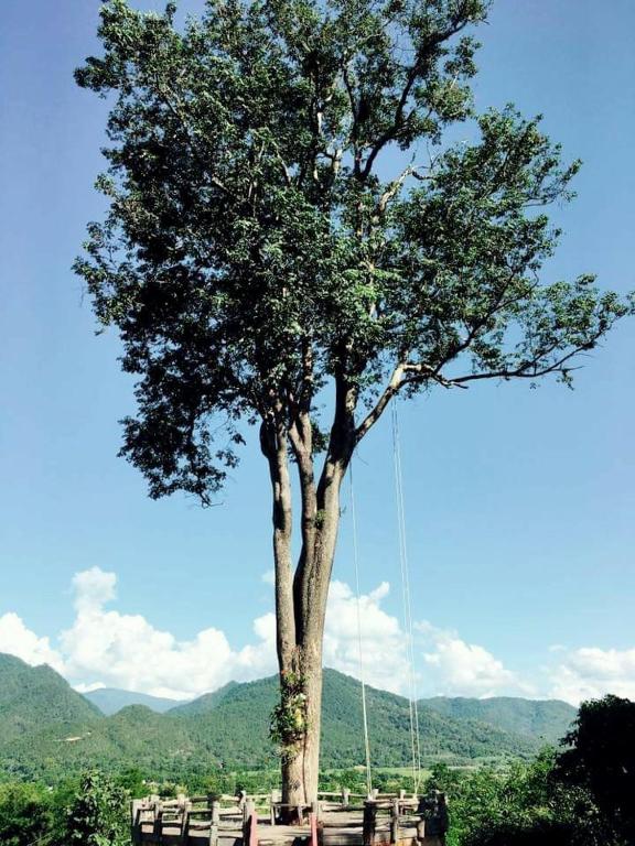 Mari Pai Resort, Pai
