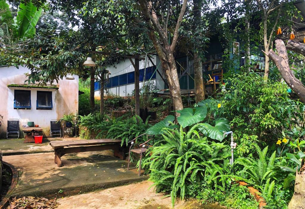 Homestay Bien Rung photo