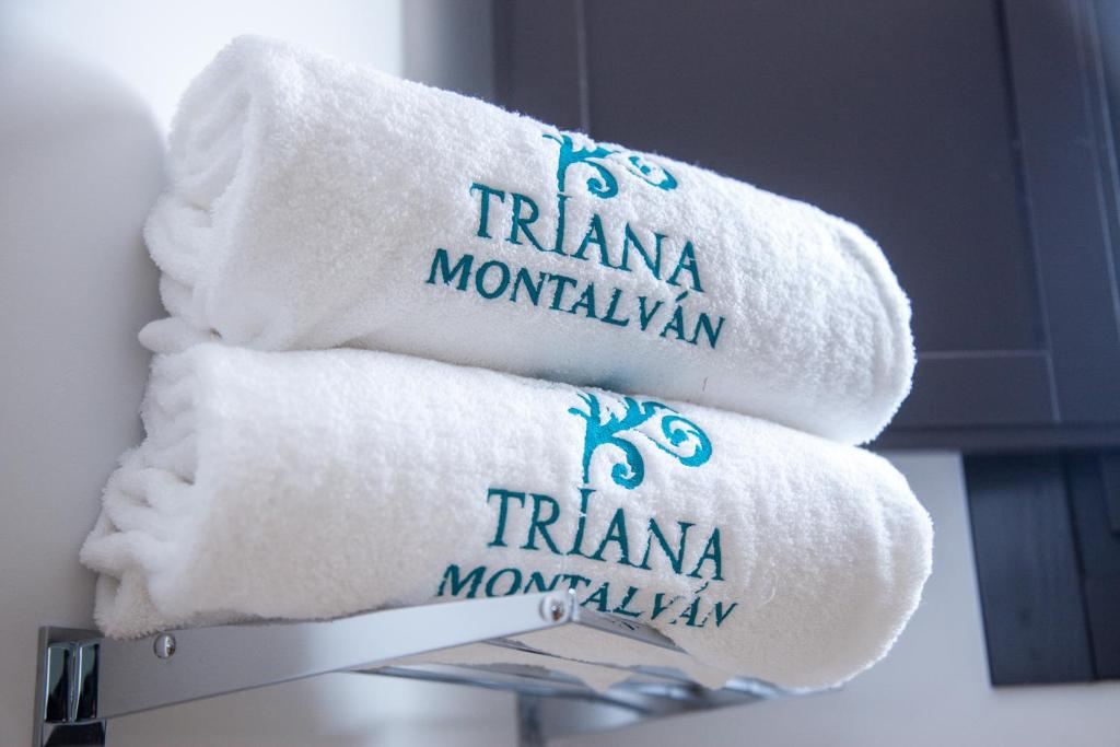 HOTEL TRIANA MONTALVAN - 3