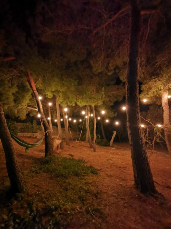 La Casa Nella Pineta - Gallipoli - 3