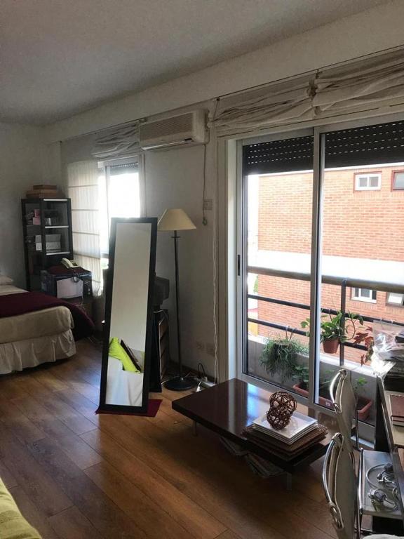 Suite Jardín Botánico - 4