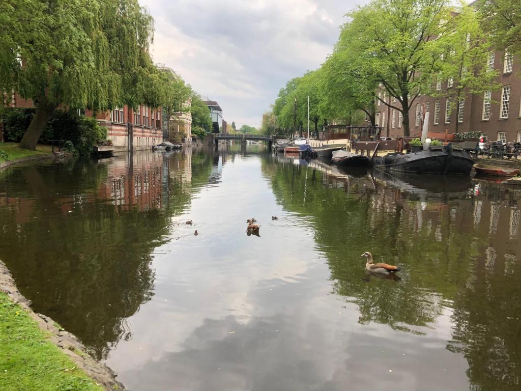 Nearby attraction
