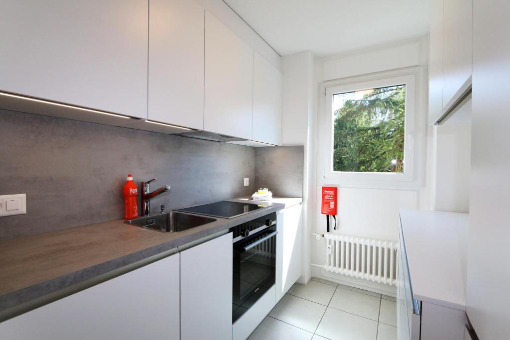 Kitchen, Haus Cristal in Saas-Fee
