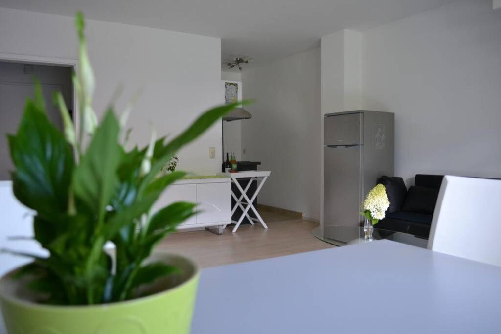 Ferienwohnung Stimmer - 4