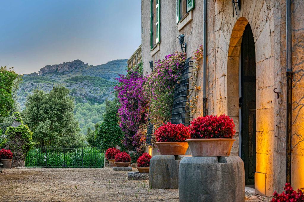 Son Grua Agroturismo - Adults only - 4