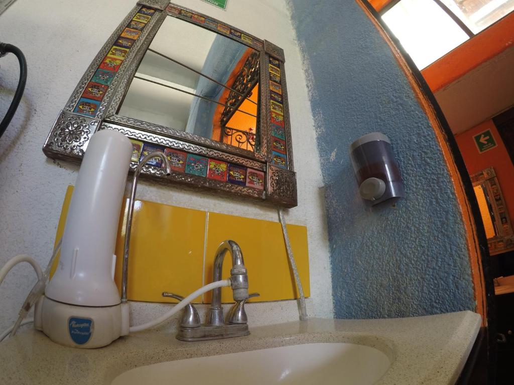 Iguana Hostel Oaxaca photo