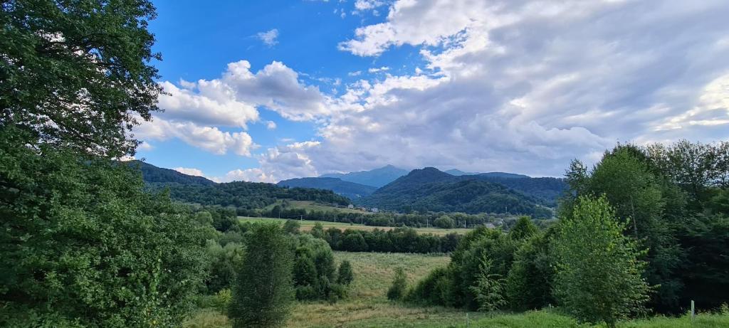Cosy Forest Chalet, Râşnov
