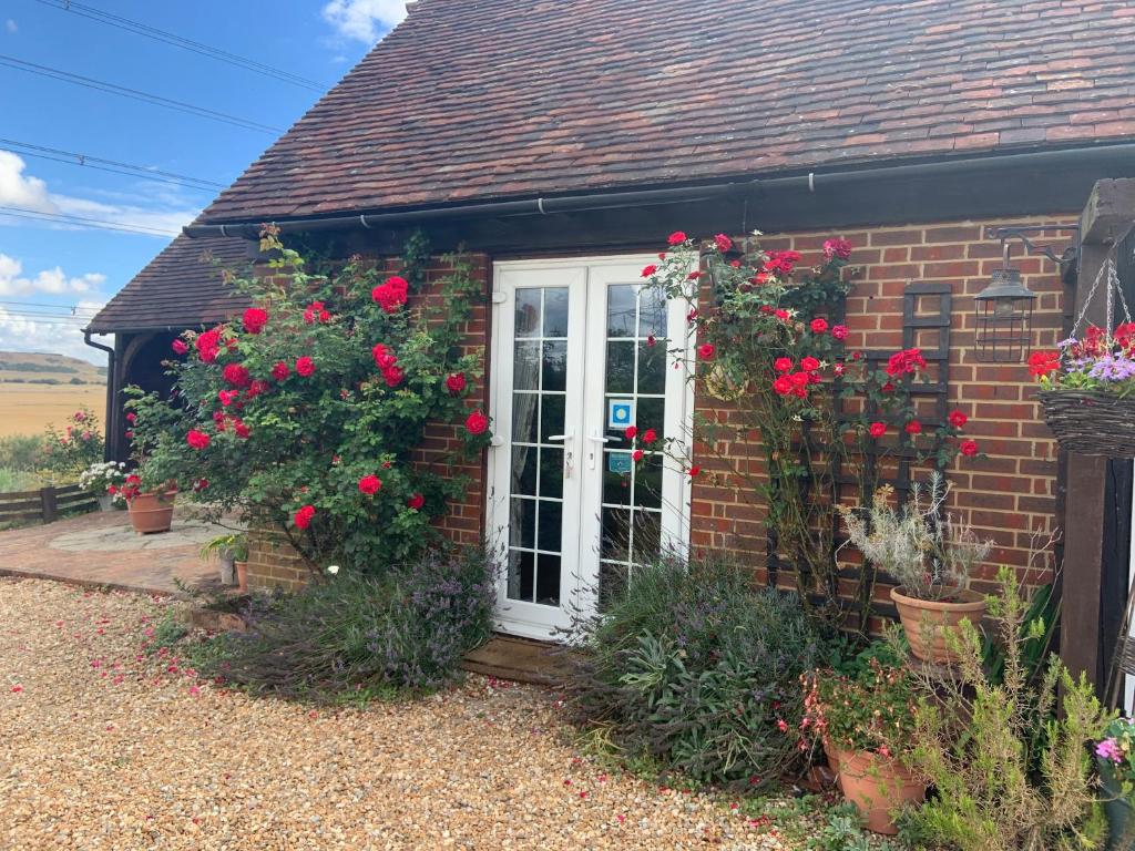 Ảnh 5