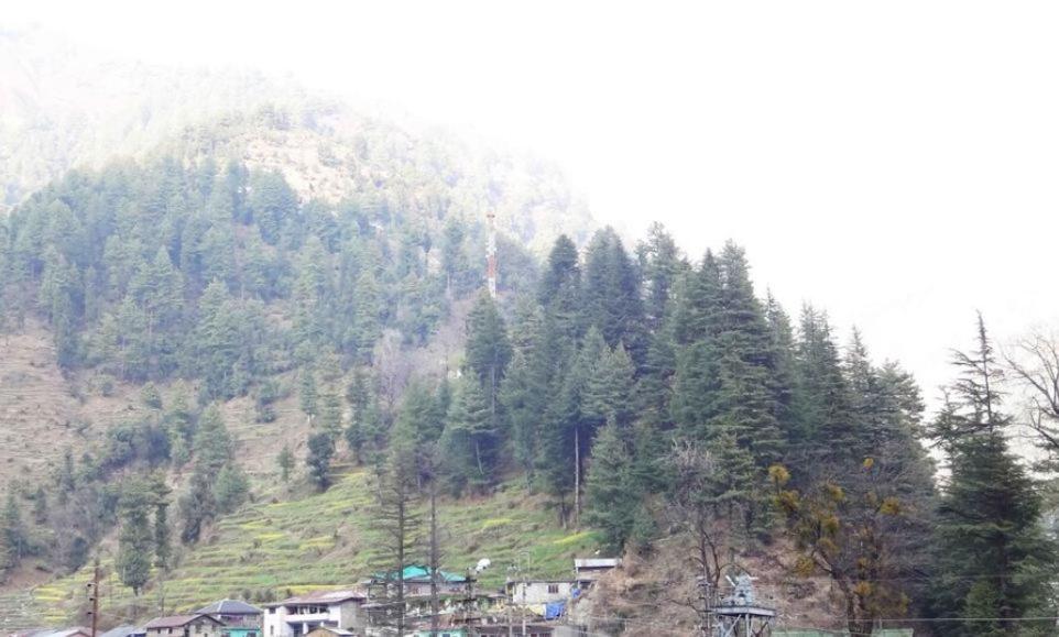 Hotel Roshan photo