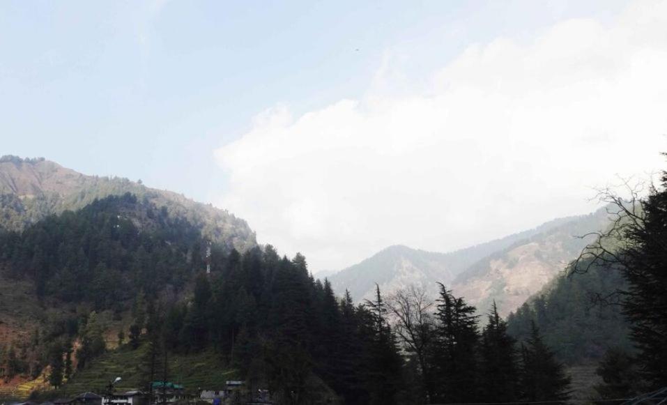 Hotel Roshan photo