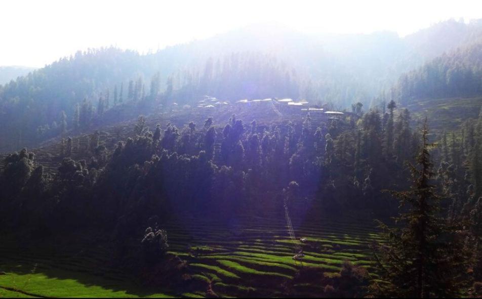 Hotel Roshan photo