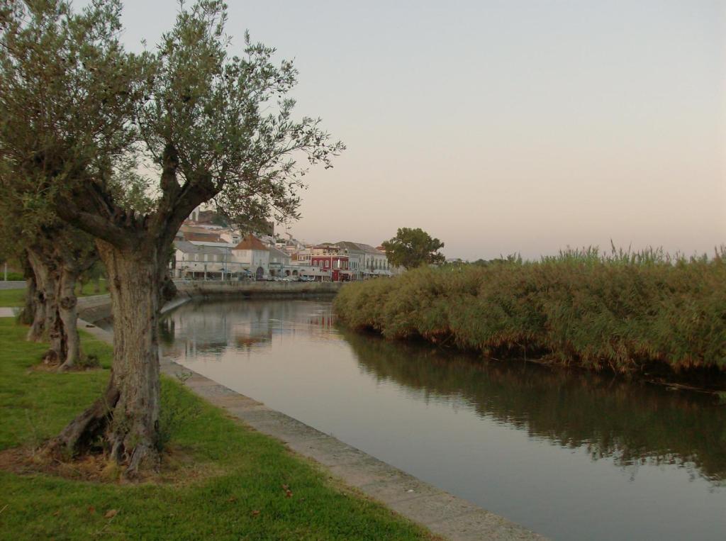 Surrounding environment